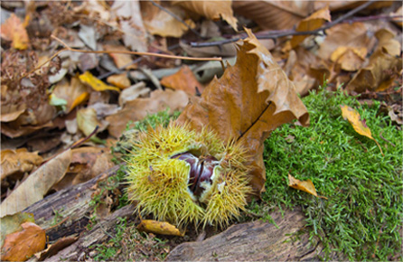 ddos流量攻击购买